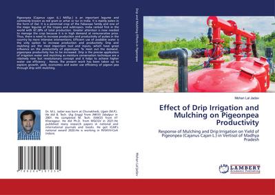 Effect of Drip Irrigation and Mulching on Pigeonpea Productivity