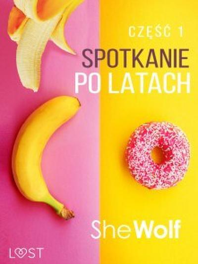 Spotkanie po latach 1 - opowiadanie erotyczne