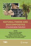 Natural Fibers and Biocomposites