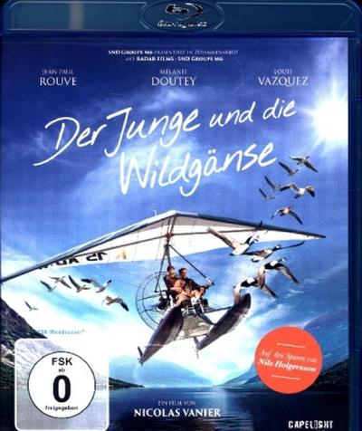 Der Junge und die Wildgänse