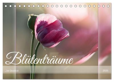 Blütenträume - im Quadrat (Tischkalender 2026 DIN A5 quer), CALVENDO Monatskalender