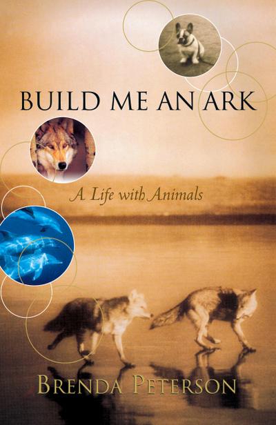 Build Me an Ark