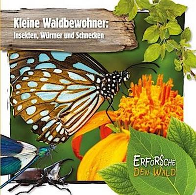 Kleine Waldbewohner: Insekten, Würmer und Schnecken