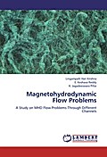 Magnetohydrodynamic Flow Problems
