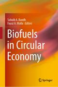 Biofuels in Circular Economy