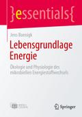 Lebensgrundlage Energie