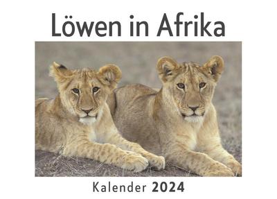 Löwen in Afrika (Wandkalender 2024, Kalender DIN A4 quer, Monatskalender im Querformat mit Kalendarium, Das perfekte Geschenk)
