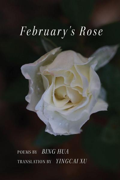 February’s Rose