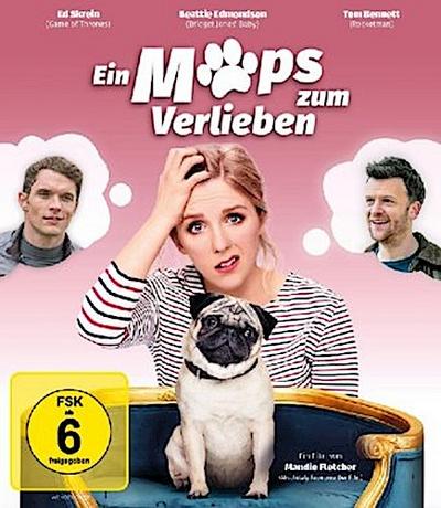 Ein Mops zum Verlieben