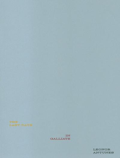 Leonor Antunes: The Last Days in Galliate