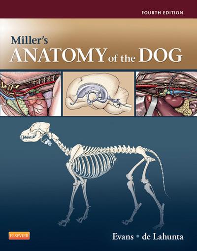 Miller’s Anatomy of the Dog - E-Book