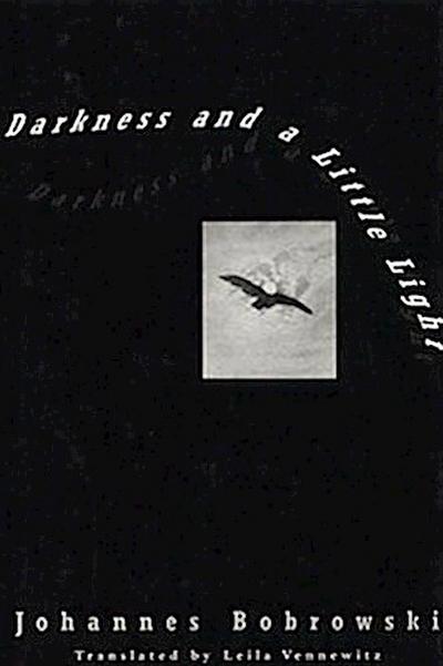 Darkness and a Little Light: Stories