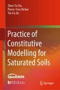 Practice of Constitutive Modelling for Saturated S