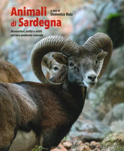 Animali di Sardegna. Mammiferi, anfibi e rettili nel loro am