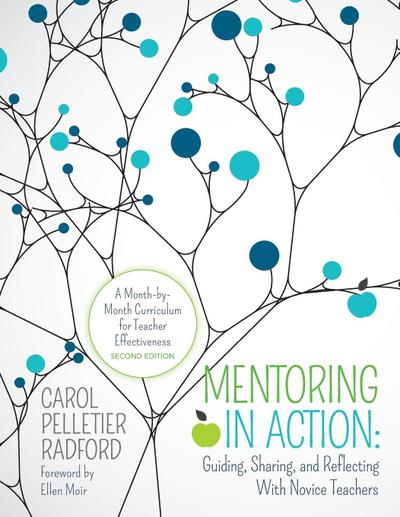 Mentoring in Action: Guiding, Sharing, and Reflecting with Novice Teachers