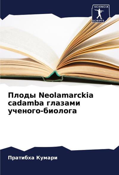 Plody Neolamarckia cadamba glazami uchenogo-biologa