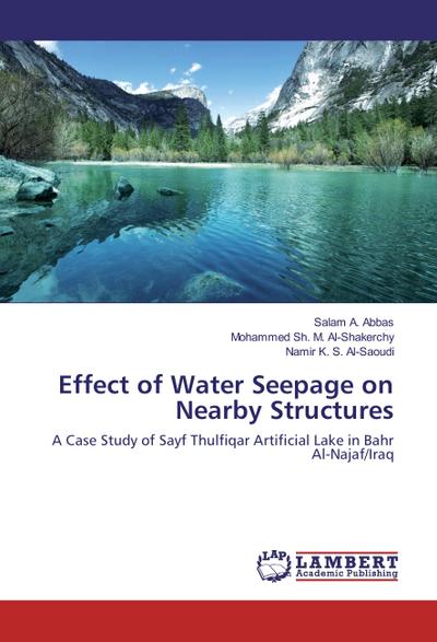 Effect of Water Seepage on Nearby Structures
