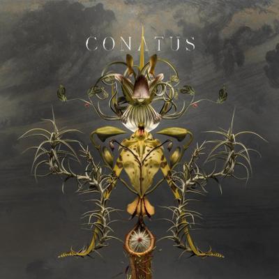 Conatus, 1 Audio-CD
