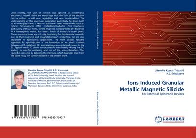 Ions Induced Granular Metallic Magnetic Silicide