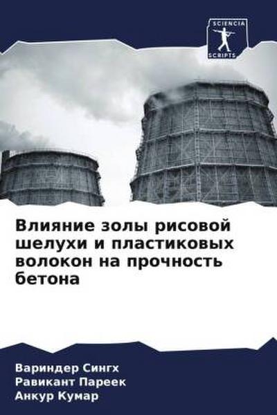 Vliqnie zoly risowoj sheluhi i plastikowyh wolokon na prochnost’ betona