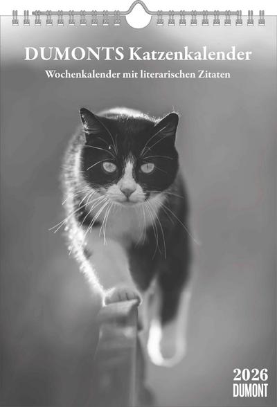 DUMONTS Katzenkalender