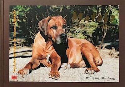 Matobo - Urgestein aus Bulawayo