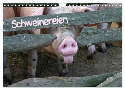 Schweinereien (Wandkalender 2026 DIN A4 quer), CALVENDO Monatskalender