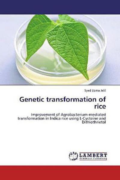 Genetic transformation of rice