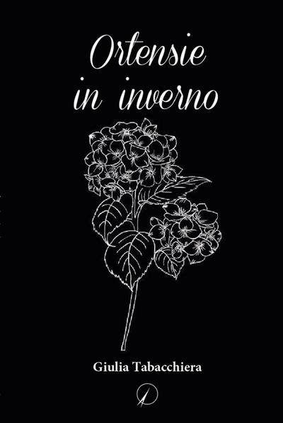 Ortensie in inverno