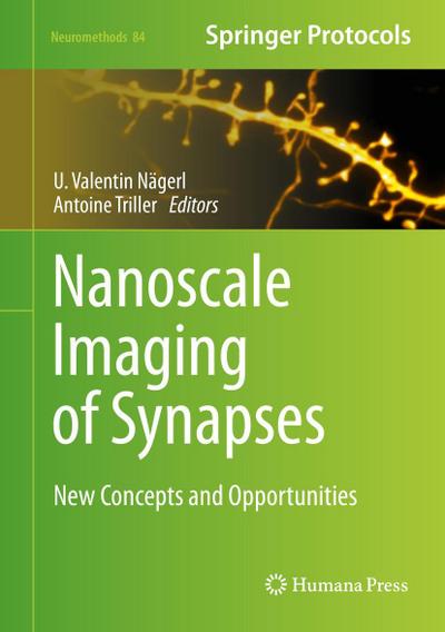 Nanoscale Imaging of Synapses