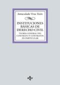 Instituciones básicas de derecho civil
