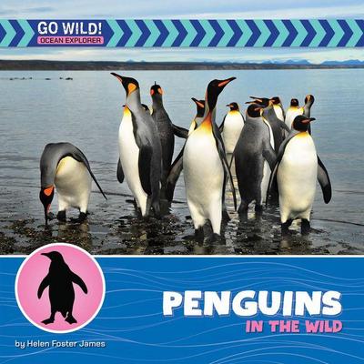 Penguins in the Wild