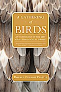 A Gathering of Birds