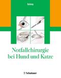 Notfallchirurgie bei Hund und Katze