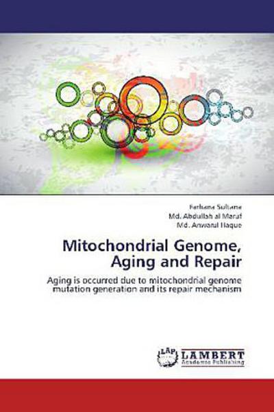 Mitochondrial Genome, Aging and Repair