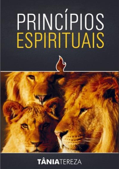 Princípios Espirituais