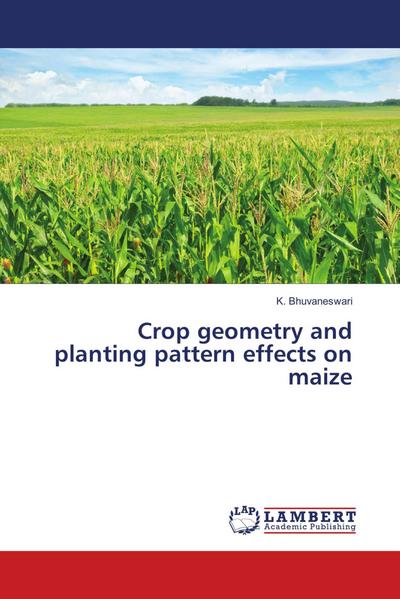 Crop geometry and planting pattern effects on maize