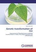 Genetic transformation of rice
