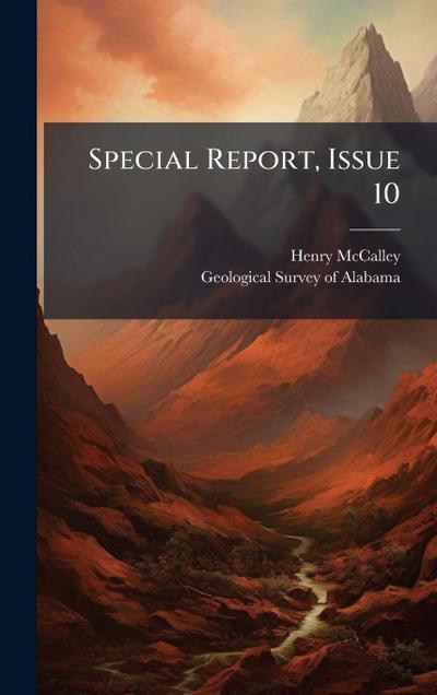 Special Report, Issue 10
