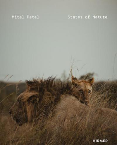 Mital Patel - States of Nature
