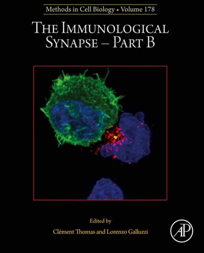 Immunological Synapse - Part B