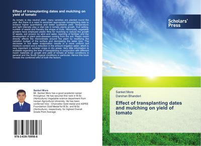 Effect of transplanting dates and mulching on  yield of tomato