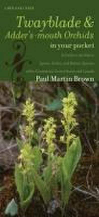 Twayblades and Adder’s-Mouth Orchids in Your Pocket: A Guide to the Native Liparis, Listera, and Malaxis Species of the Continental United States and