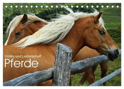 Pferde - Hobby und Leidenschaft (Tischkalender 2025 DIN A5 quer), CALVENDO Monatskalender