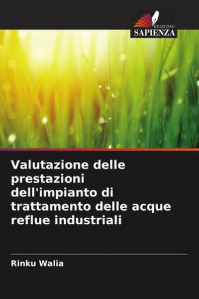 Valutazione delle prestazioni dell’impianto di trattamento delle acque reflue industriali