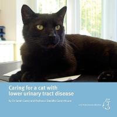 Caring for a cat with lower urinary tract disease
