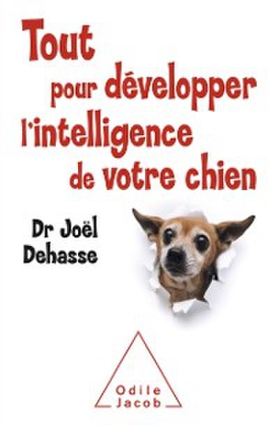 Tout pour développer l’’intelligence de votre chien