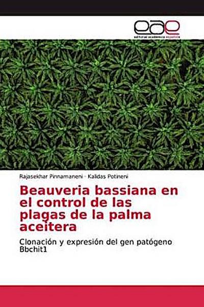 Beauveria bassiana en el control de las plagas de la palma aceitera