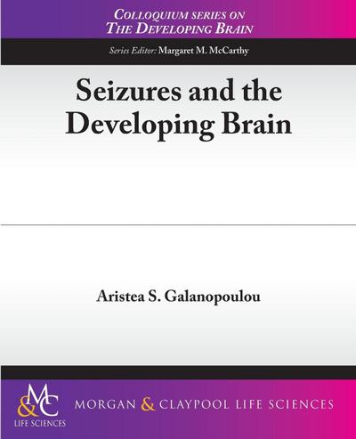 Seizures and the Developing Brain