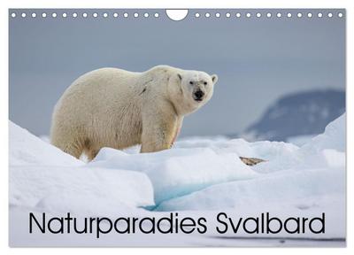 Naturparadies Svalbard (Wandkalender 2026 DIN A4 quer), CALVENDO Monatskalender